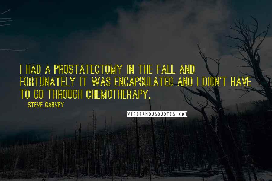 Steve Garvey quotes: I had a prostatectomy in the fall and fortunately it was encapsulated and I didn't have to go through chemotherapy.