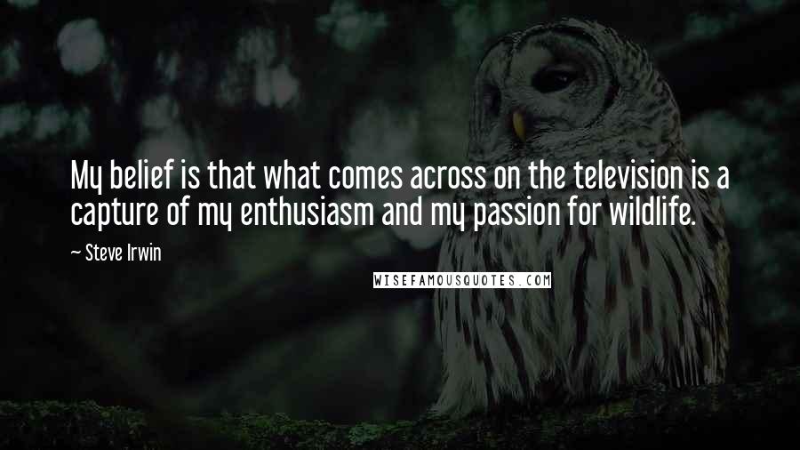 Steve Irwin quotes: My belief is that what comes across on the television is a capture of my enthusiasm and my passion for wildlife.