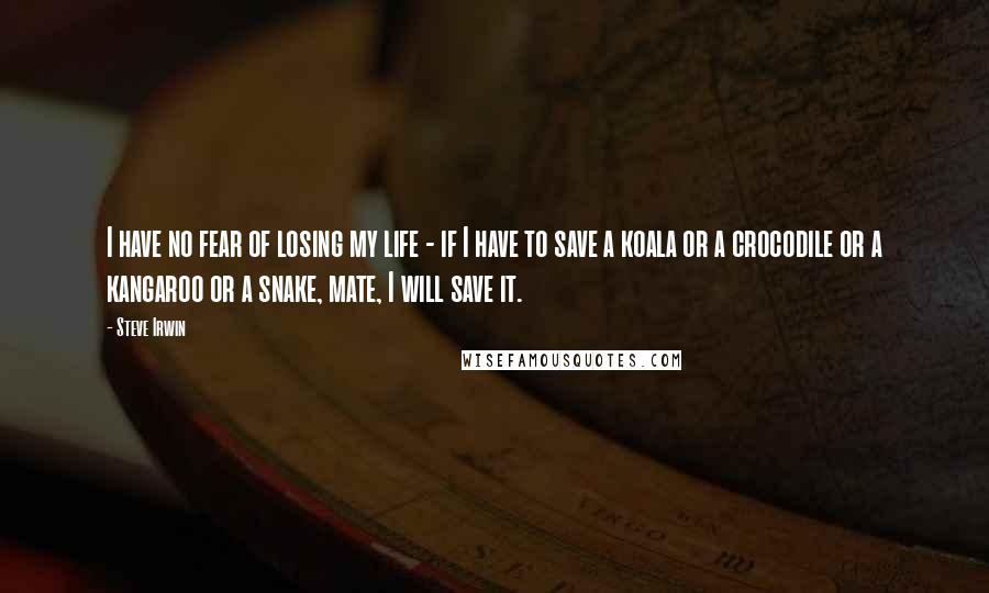 Steve Irwin quotes: I have no fear of losing my life - if I have to save a koala or a crocodile or a kangaroo or a snake, mate, I will save it.