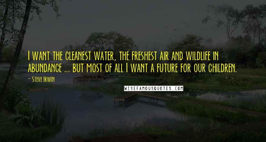 Steve Irwin quotes: I want the cleanest water, the freshest air and wildlife in abundance ... but most of all I want a future for our children.