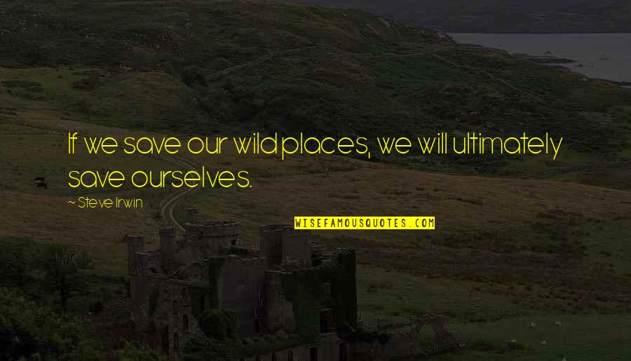 Steve Irwin Quotes By Steve Irwin: If we save our wild places, we will