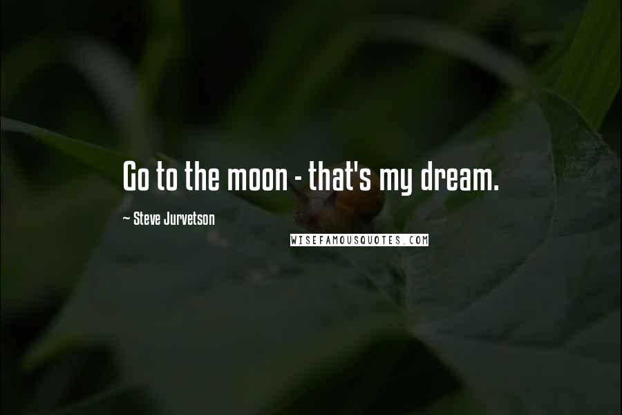 Steve Jurvetson quotes: Go to the moon - that's my dream.