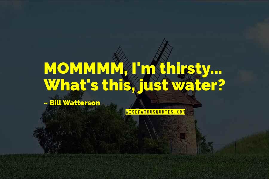 Steve Justa Quotes By Bill Watterson: MOMMMM, I'm thirsty... What's this, just water?