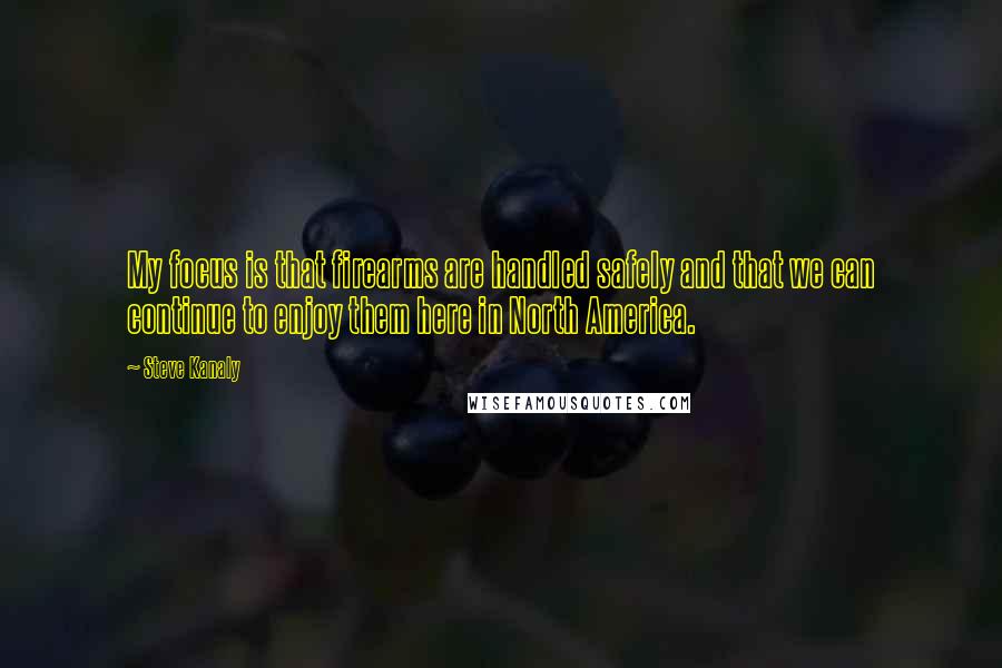 Steve Kanaly quotes: My focus is that firearms are handled safely and that we can continue to enjoy them here in North America.
