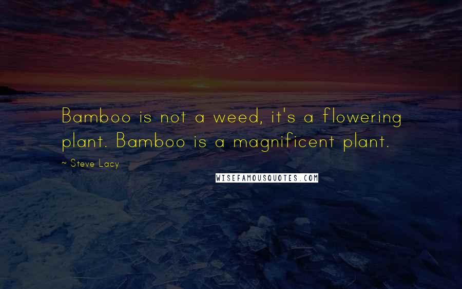 Steve Lacy quotes: Bamboo is not a weed, it's a flowering plant. Bamboo is a magnificent plant.