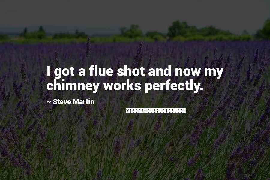 Steve Martin quotes: I got a flue shot and now my chimney works perfectly.