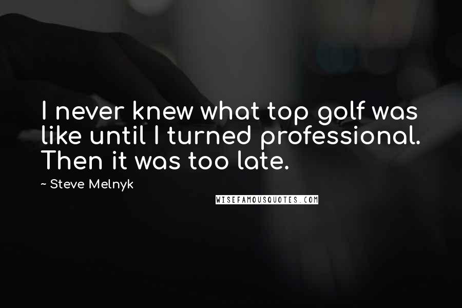 Steve Melnyk quotes: I never knew what top golf was like until I turned professional. Then it was too late.