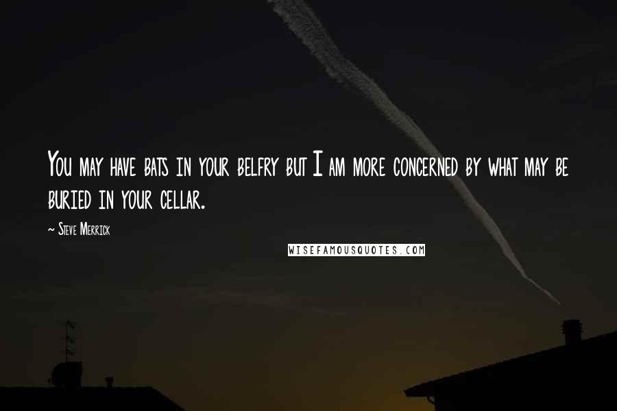 Steve Merrick quotes: You may have bats in your belfry but I am more concerned by what may be buried in your cellar.