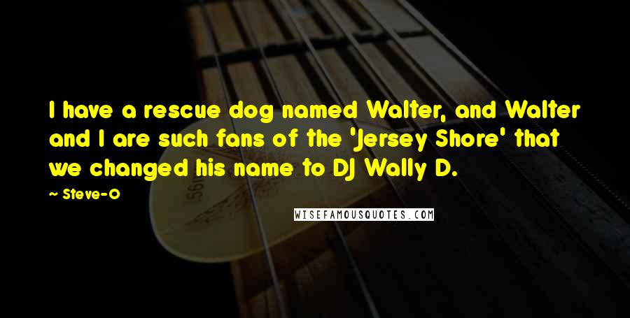 Steve-O quotes: I have a rescue dog named Walter, and Walter and I are such fans of the 'Jersey Shore' that we changed his name to DJ Wally D. Steve-O quotes: I have a rescue dog named Walter, and Walter and I are such fans of the 'Jersey Shore' that we changed his name to DJ Wally D.