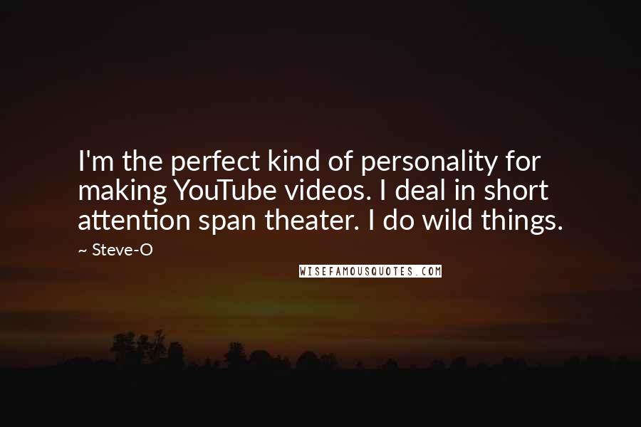 Steve-O quotes: I'm the perfect kind of personality for making YouTube videos. I deal in short attention span theater. I do wild things. Steve-O quotes: I'm the perfect kind of personality for making YouTube videos. I deal in short attention span theater. I do wild things.