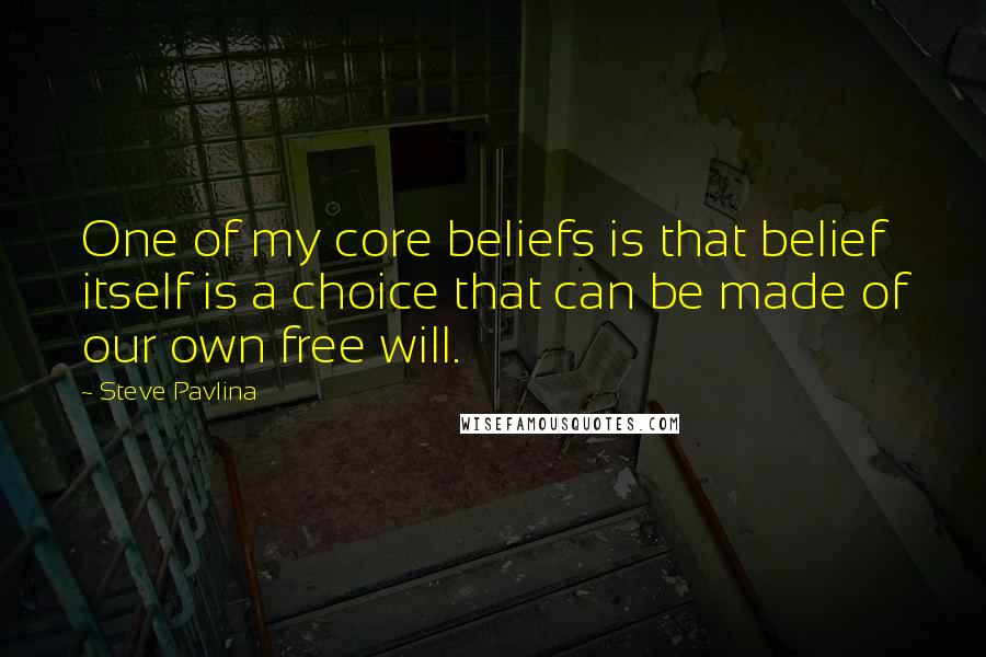 Steve Pavlina quotes: One of my core beliefs is that belief itself is a choice that can be made of our own free will.