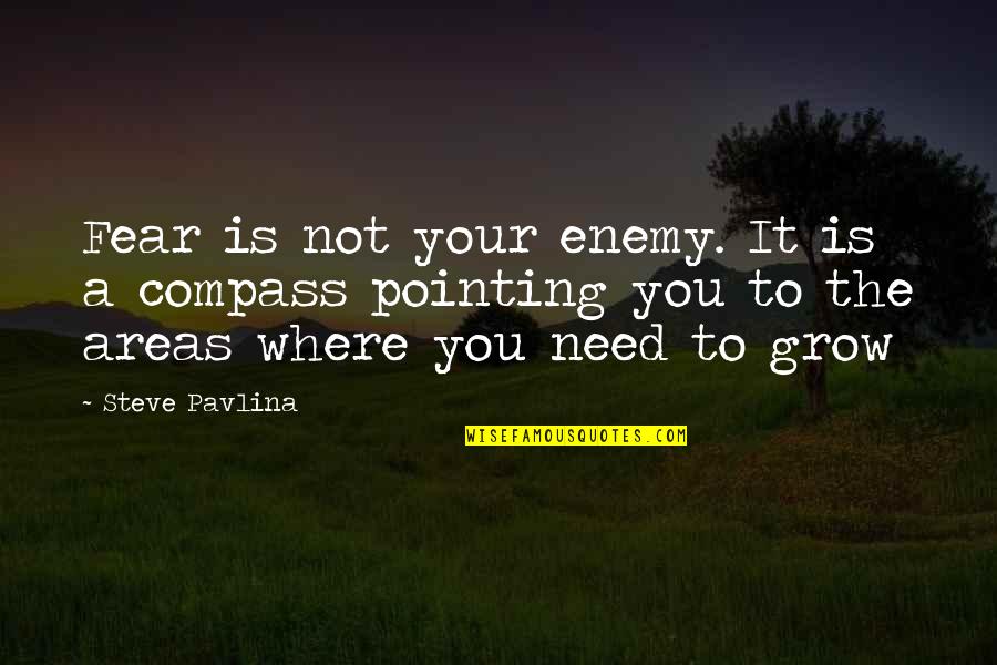 Steve Pavlina Quotes By Steve Pavlina: Fear is not your enemy. It is a