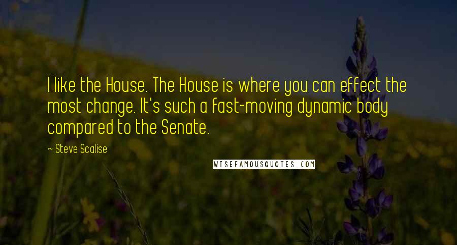 Steve Scalise quotes: I like the House. The House is where you can effect the most change. It's such a fast-moving dynamic body compared to the Senate.