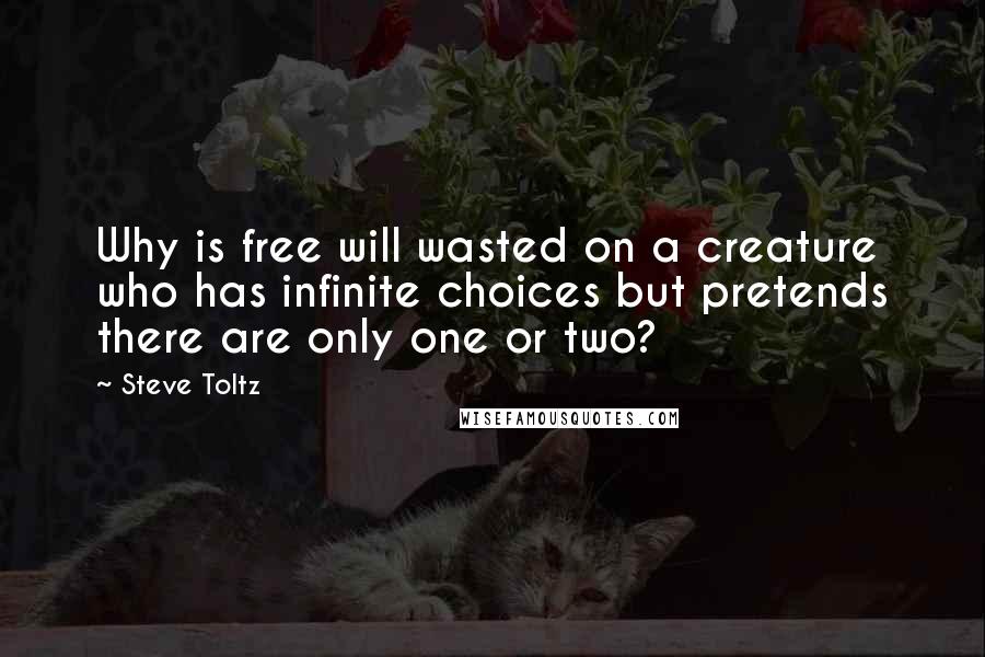 Steve Toltz quotes: Why is free will wasted on a creature who has infinite choices but pretends there are only one or two?