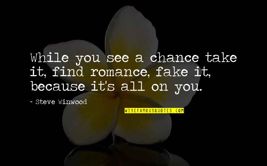 Steve Winwood Quotes By Steve Winwood: While you see a chance take it, find