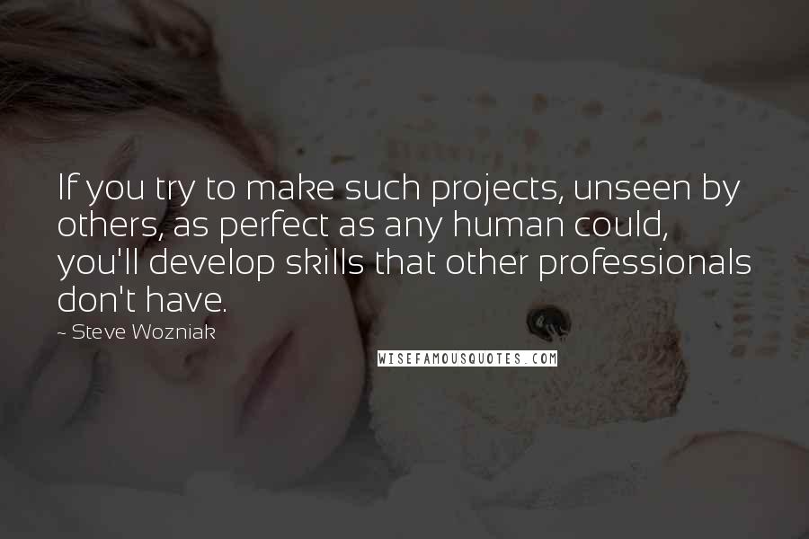 Steve Wozniak quotes: If you try to make such projects, unseen by others, as perfect as any human could, you'll develop skills that other professionals don't have.