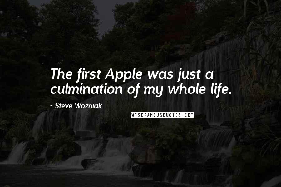 Steve Wozniak quotes: The first Apple was just a culmination of my whole life.