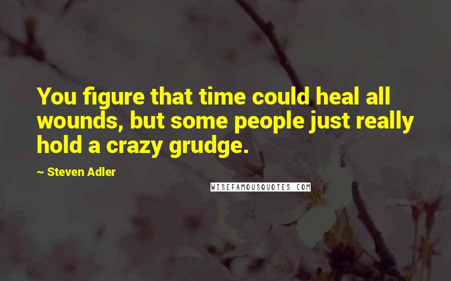 Steven Adler quotes: You figure that time could heal all wounds, but some people just really hold a crazy grudge.
