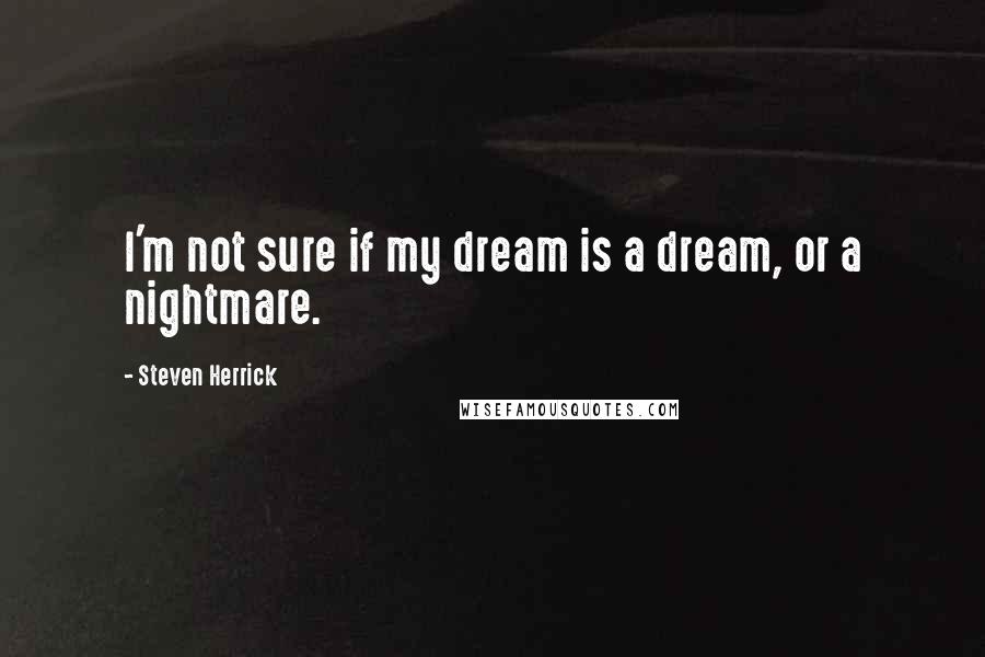 Steven Herrick quotes: I'm not sure if my dream is a dream, or a nightmare.