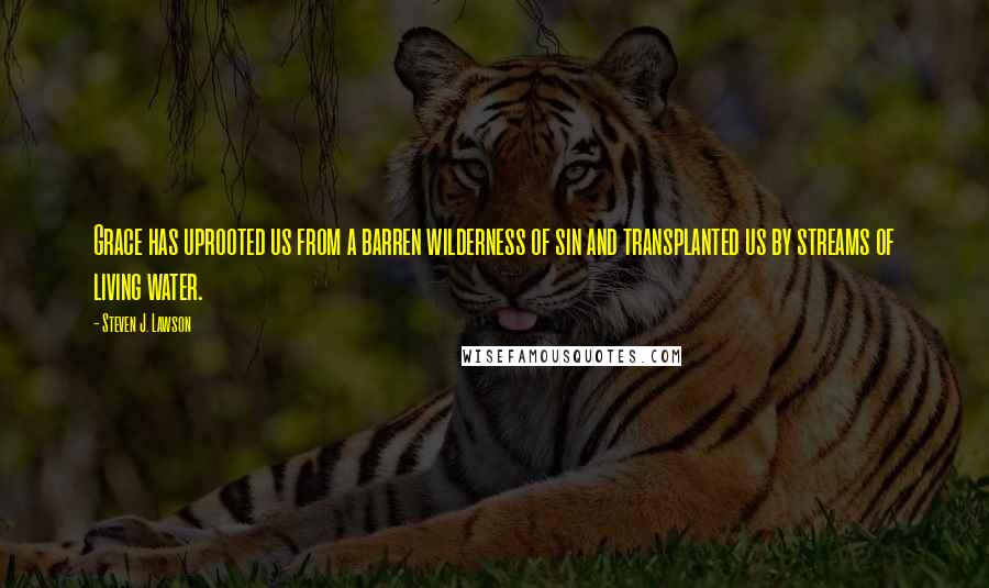 Steven J. Lawson quotes: Grace has uprooted us from a barren wilderness of sin and transplanted us by streams of living water.