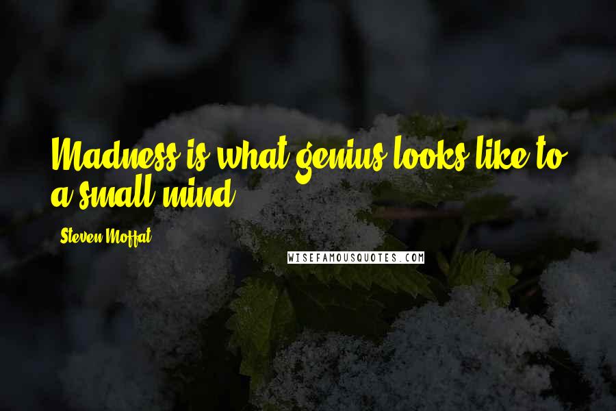 Steven Moffat quotes: Madness is what genius looks like to a small mind
