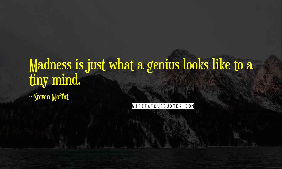 Steven Moffat quotes: Madness is just what a genius looks like to a tiny mind.