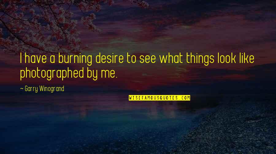 Steven Pressley Quotes By Garry Winogrand: I have a burning desire to see what