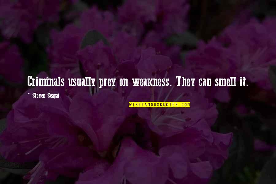 Steven Seagal Quotes By Steven Seagal: Criminals usually prey on weakness. They can smell Steven Seagal Quotes By Steven Seagal: Criminals usually prey on weakness. They can smell