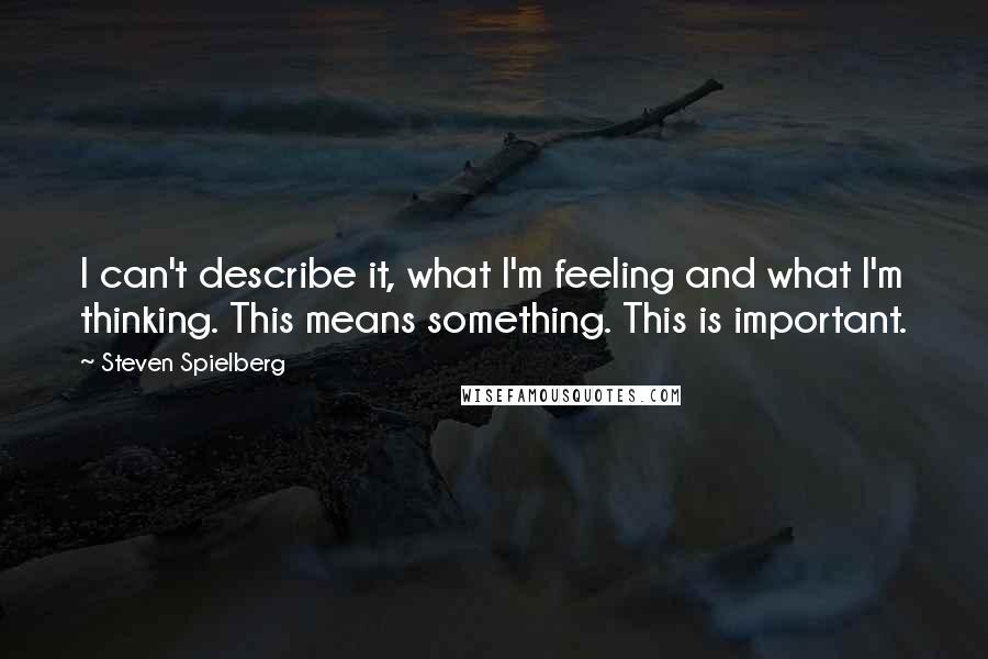 Steven Spielberg quotes: I can't describe it, what I'm feeling and what I'm thinking. This means something. This is important.