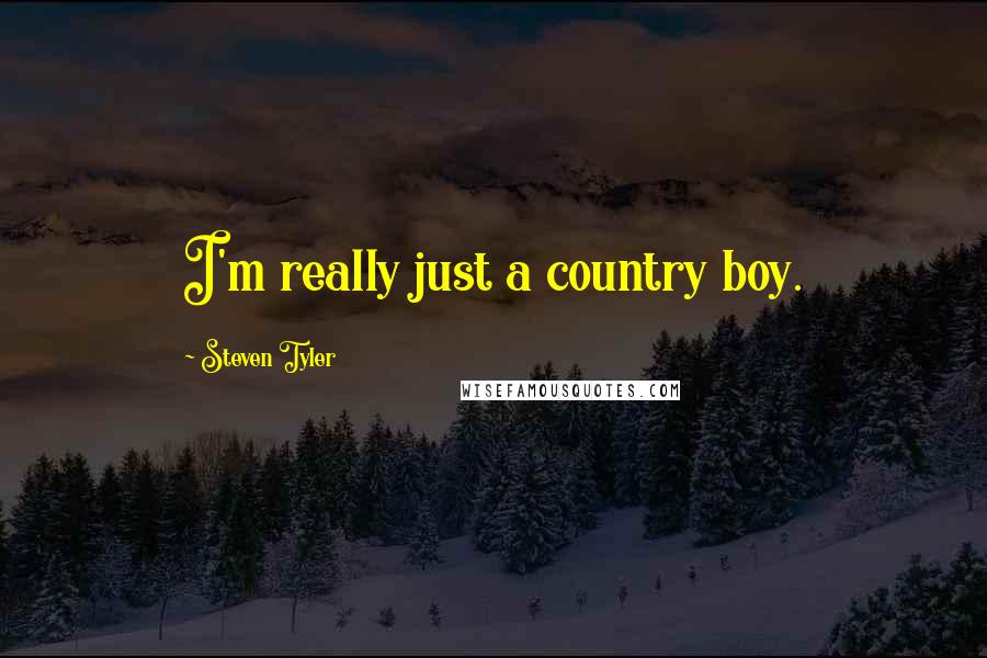 Steven Tyler quotes: I'm really just a country boy.