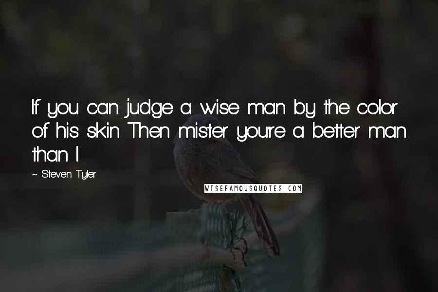 Steven Tyler quotes: If you can judge a wise man by the color of his skin Then mister you're a better man than I