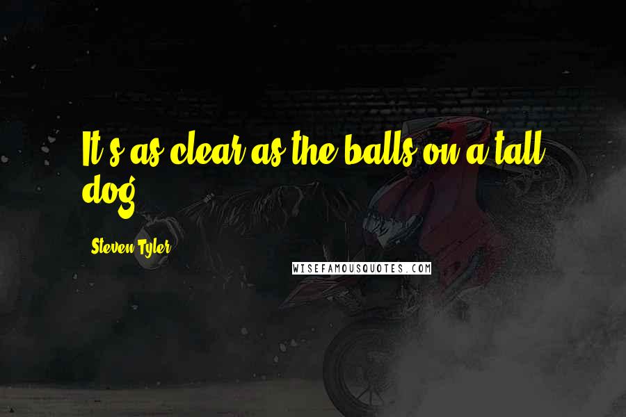 Steven Tyler quotes: It's as clear as the balls on a tall dog.