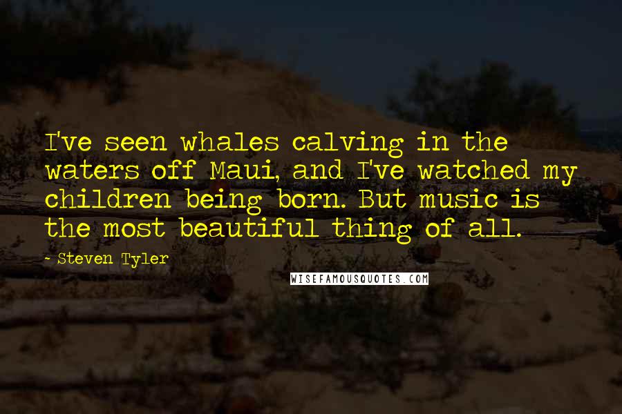 Steven Tyler quotes: I've seen whales calving in the waters off Maui, and I've watched my children being born. But music is the most beautiful thing of all.