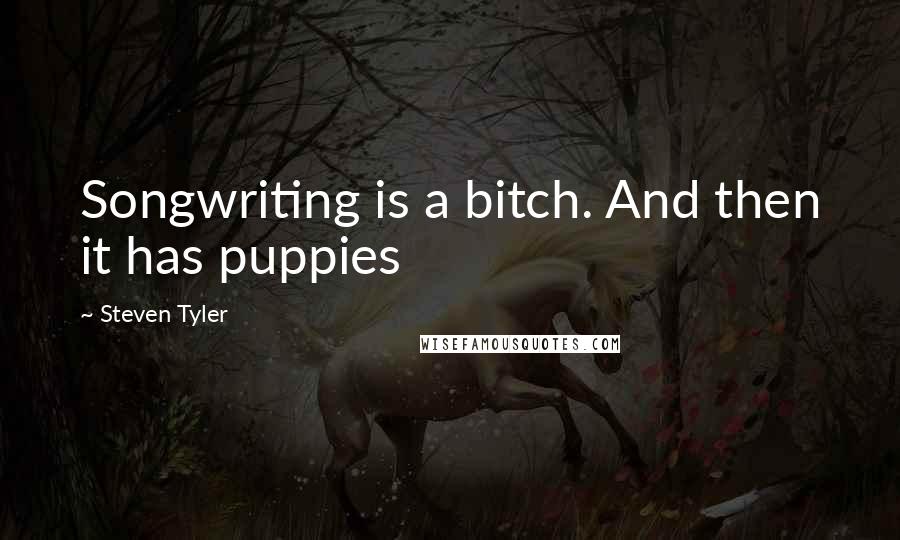 Steven Tyler quotes: Songwriting is a bitch. And then it has puppies