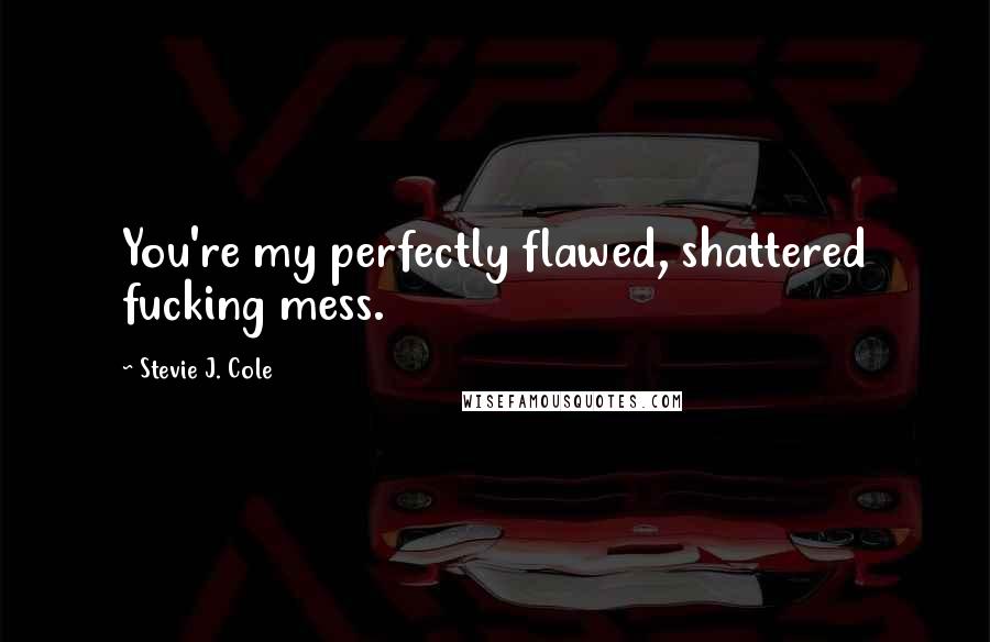 Stevie J. Cole quotes: You're my perfectly flawed, shattered fucking mess.