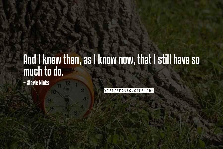 Stevie Nicks quotes: And I knew then, as I know now, that I still have so much to do.