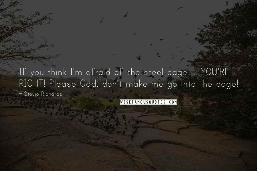 Stevie Richards quotes: If you think I'm afraid of the steel cage ... YOU'RE RIGHT! Please God, don't make me go into the cage!