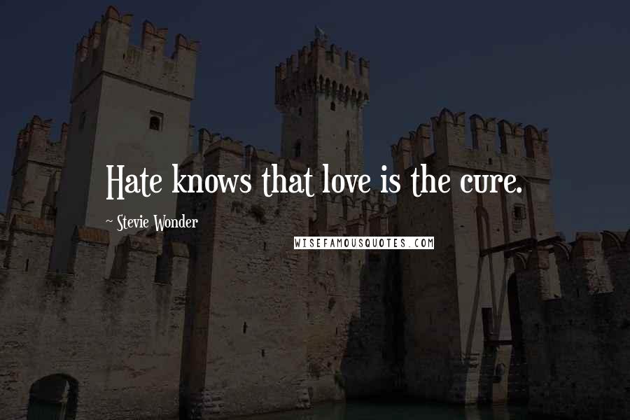 Stevie Wonder quotes: Hate knows that love is the cure.