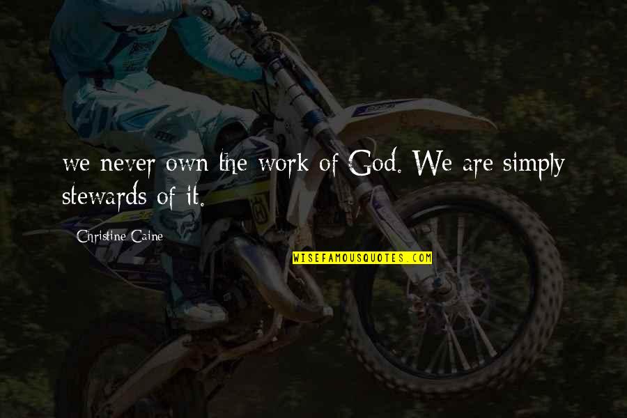 Stewards Quotes By Christine Caine: we never own the work of God. We Stewards Quotes By Christine Caine: we never own the work of God. We