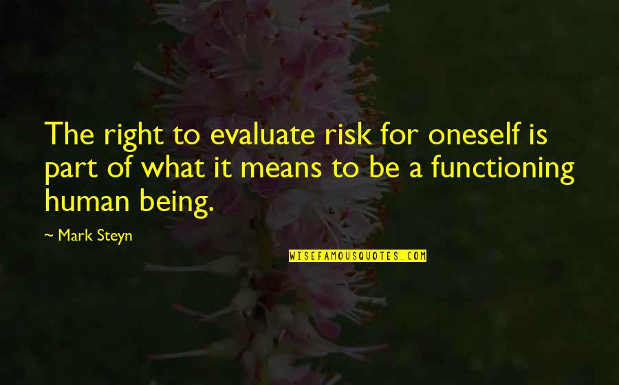 Steyn Quotes By Mark Steyn: The right to evaluate risk for oneself is