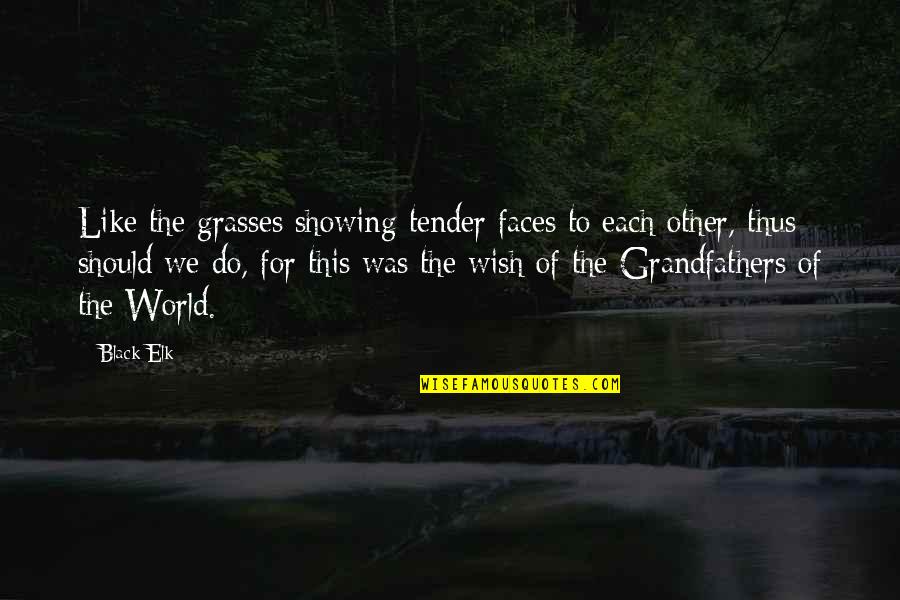 Stibich Md Quotes By Black Elk: Like the grasses showing tender faces to each Stibich Md Quotes By Black Elk: Like the grasses showing tender faces to each