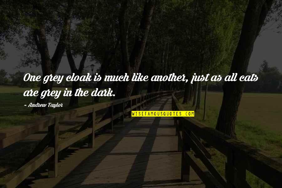 Sticht Center Quotes By Andrew Taylor: One grey cloak is much like another, just