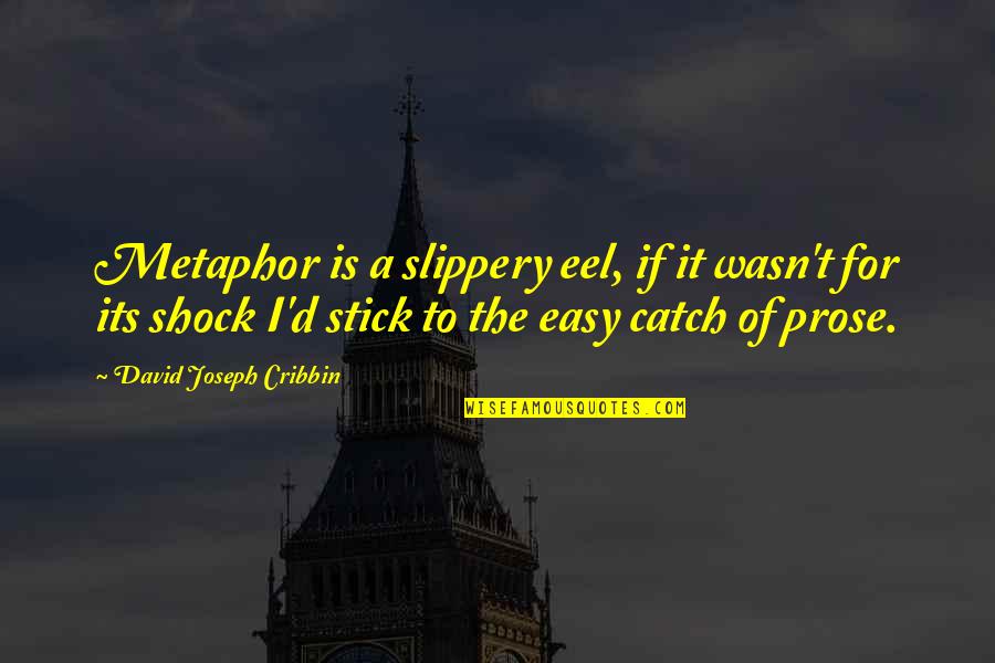 Stick Quotes By David Joseph Cribbin: Metaphor is a slippery eel, if it wasn't