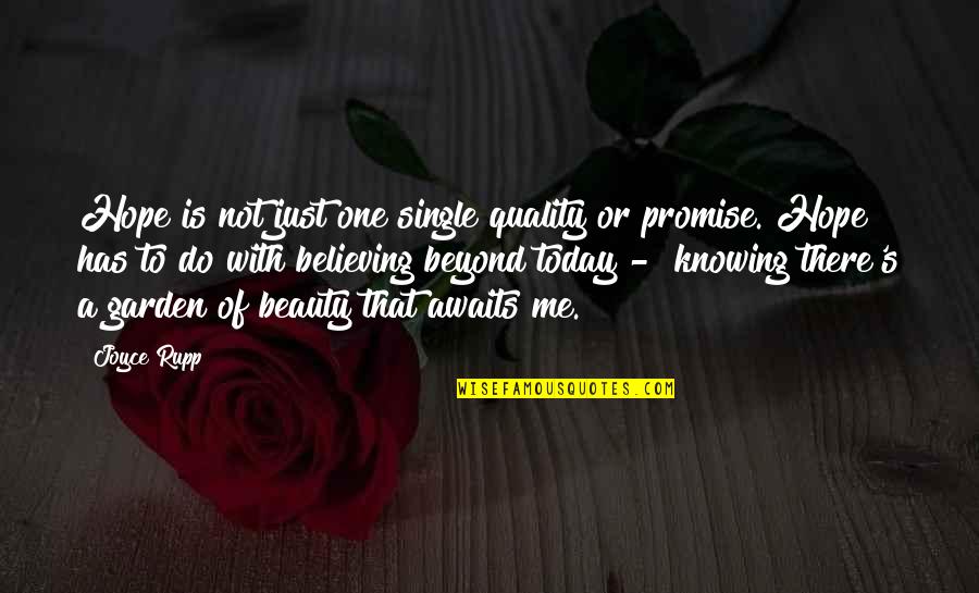 Stickboy Quotes By Joyce Rupp: Hope is not just one single quality or Stickboy Quotes By Joyce Rupp: Hope is not just one single quality or