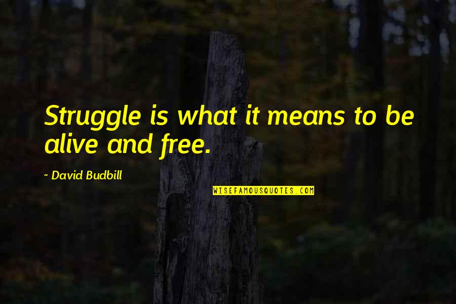 Stickhandle Quotes By David Budbill: Struggle is what it means to be alive