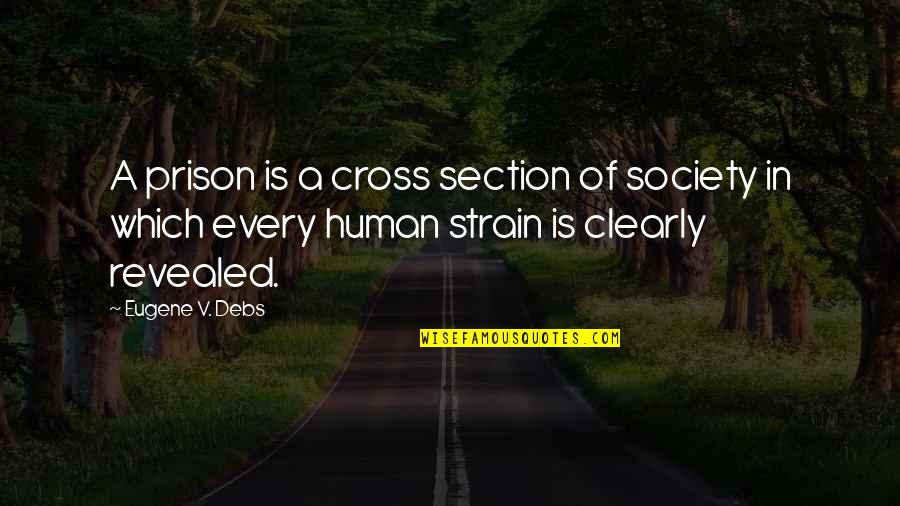 Stickhandle Quotes By Eugene V. Debs: A prison is a cross section of society