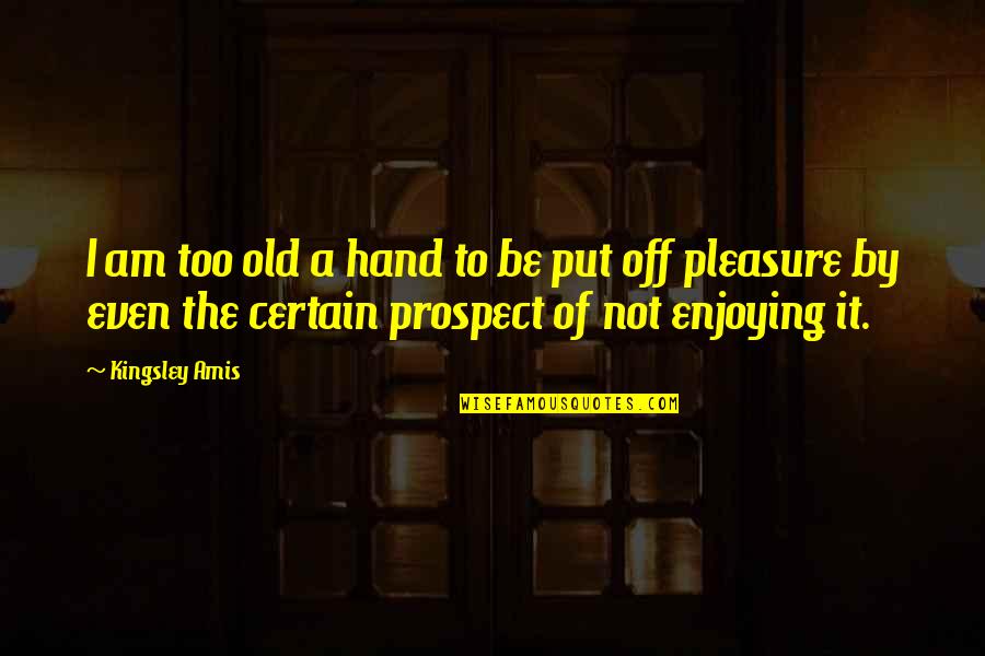 Stickhandle Quotes By Kingsley Amis: I am too old a hand to be