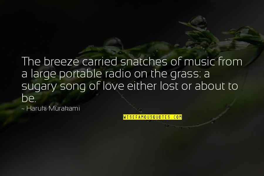 Sticks And Dogs Quotes By Haruki Murakami: The breeze carried snatches of music from a
