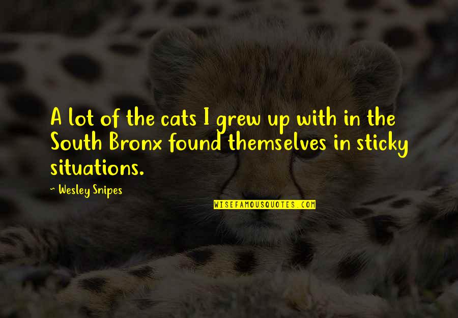 Sticky Situations Quotes By Wesley Snipes: A lot of the cats I grew up