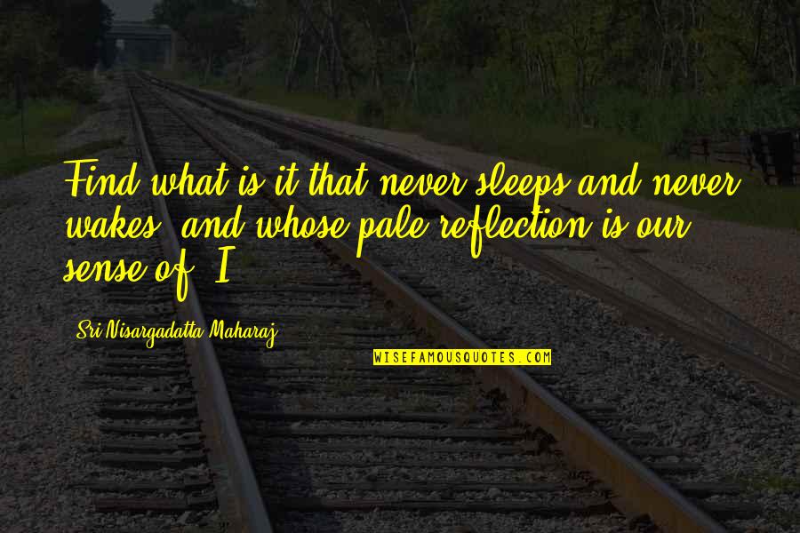 Stieglerhof Quotes By Sri Nisargadatta Maharaj: Find what is it that never sleeps and